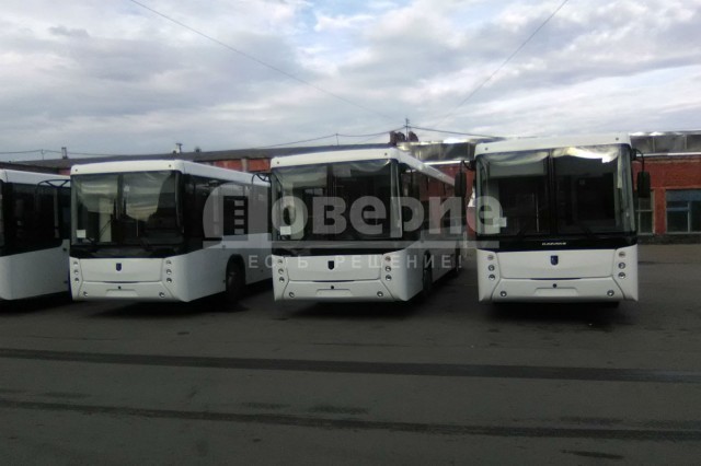 В Омск впервые за пять лет купили новые большие автобусы