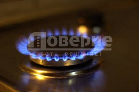 Власти Омской области разрешили досрочно тратить материнский капитал на газ