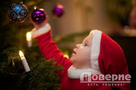 Купить новогоднюю елку в Омске можно с 1 декабря