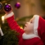 Купить новогоднюю елку в Омске можно с 1 декабря