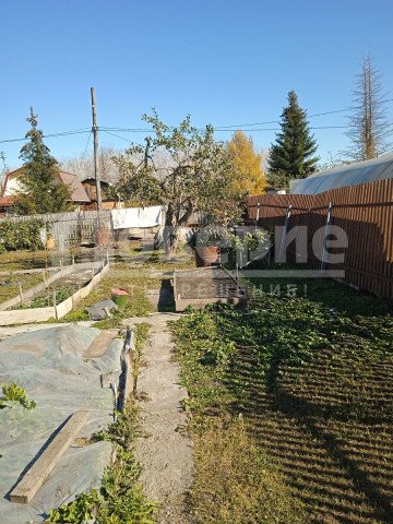 Омск, Октябрьский округ, СНТ "Фиалка" 32