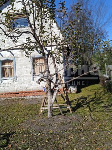 Омск, Октябрьский округ, СНТ "Фиалка" 0