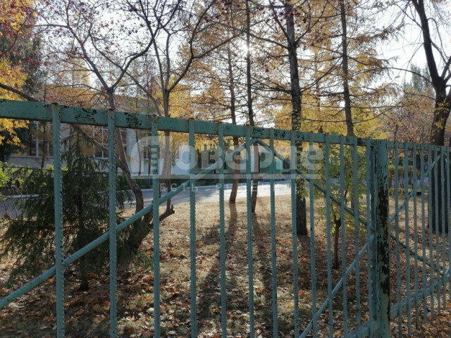 После стрельбы в гимназии Брянска омские школы ждут проверки