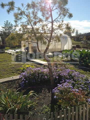 Омск, Октябрьский округ, СНТ "Фиалка" 39