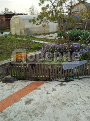 Омск, Октябрьский округ, СНТ "Фиалка" 16