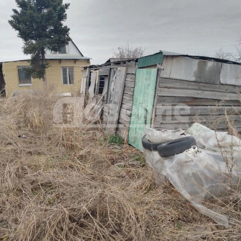 Омск, территория СОСН Керамик+, аллея 7 0 Омск, территория СОСН Керамик+, аллея 7 0