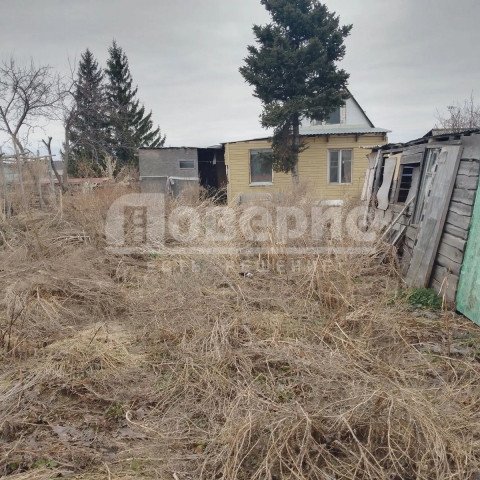 Омск, территория СОСН Керамик+, аллея 7 11 Омск, территория СОСН Керамик+, аллея 7 11